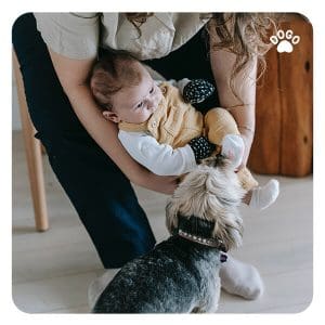 Dziecko i Pies w Domu