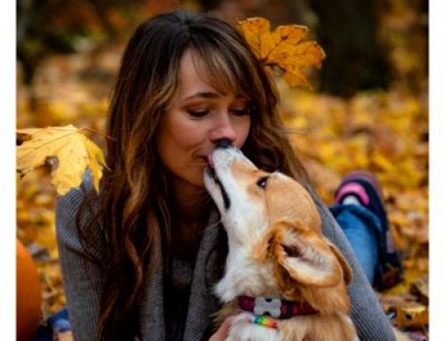5 Powodów, Dlaczego Twój Pies Cię Całuje