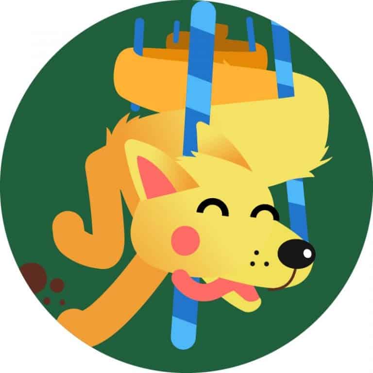 Program Bądź Aktywny Dogo Dynamic Tricks Program