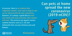 Coronovirus in Dogs