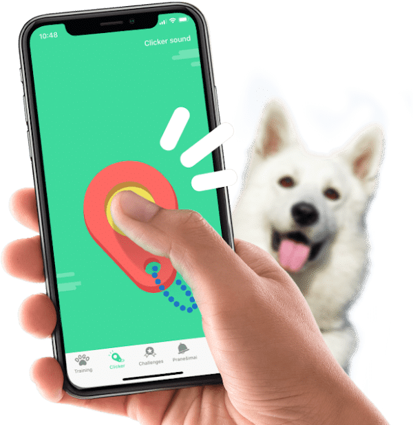 Header_clicker_with_DOGO_res_comp_min
