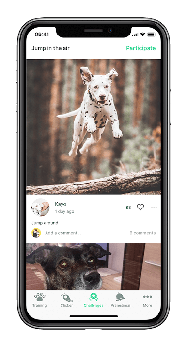 Web_phone_mockup_challenges_res_comp