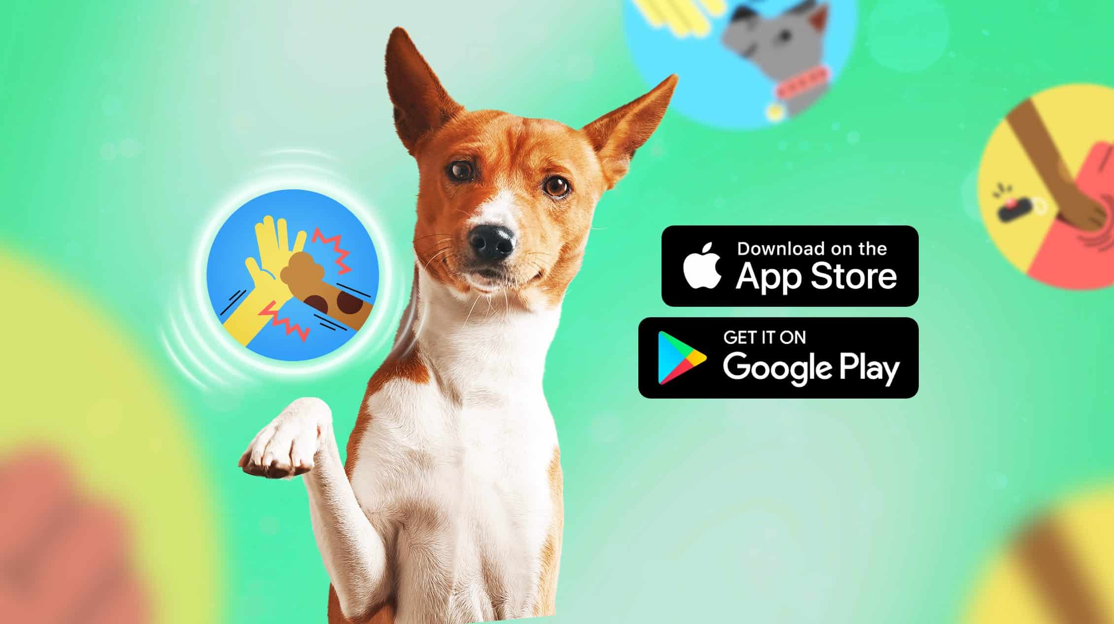 (c) Dogo.app