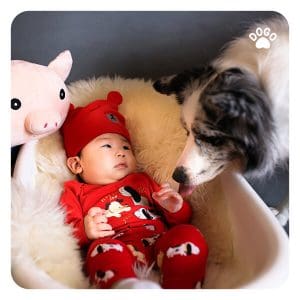 Dog and a baby