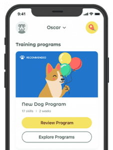 Dogo App