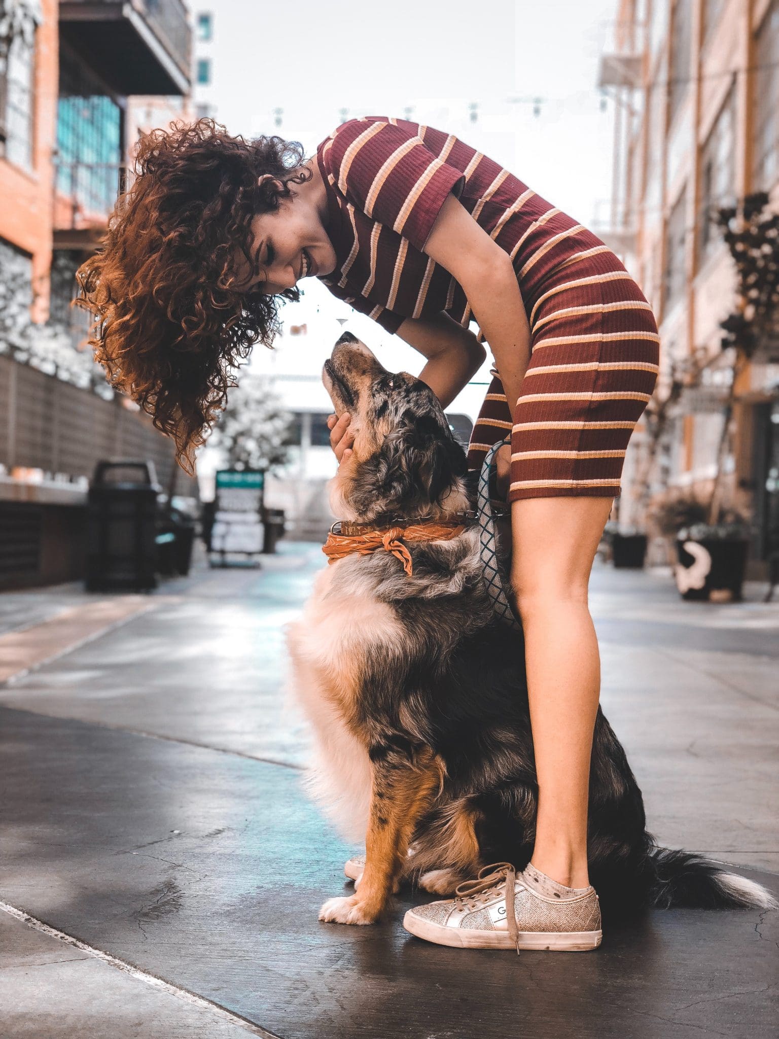 Warum drehen sich Hunde im Kreis? Dogo