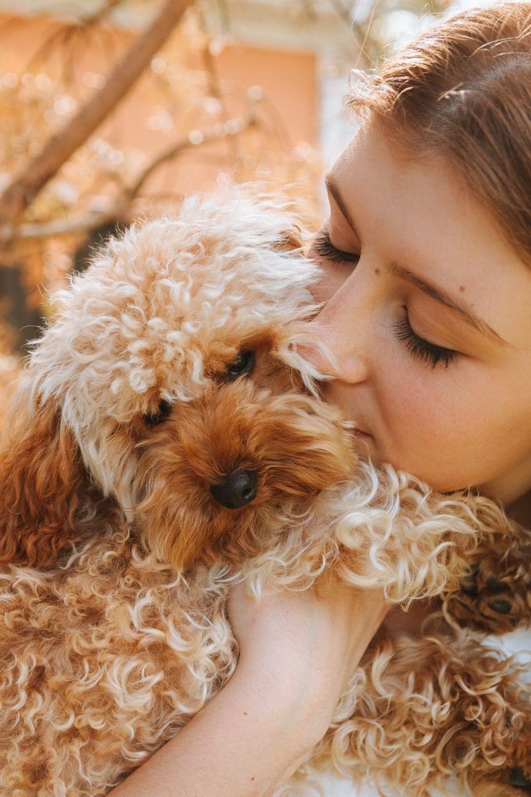 Combien de paupières ont les chiens ?