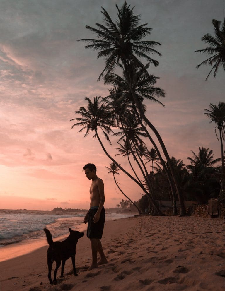 ¿Qué hacer cuando el perro tiene un ataque?