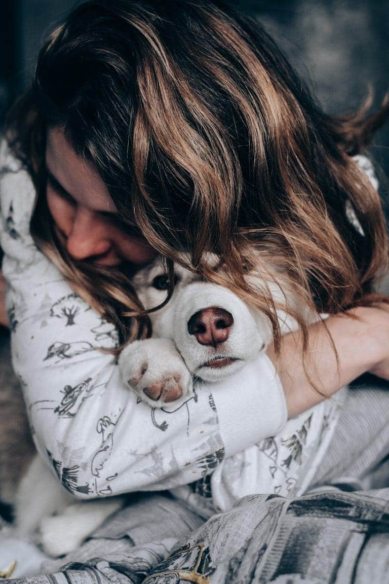 Comment savoir si votre chienne est enceinte ?