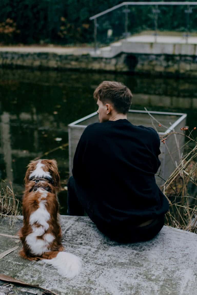 ¿Por qué envejecen tan rápido los perros?