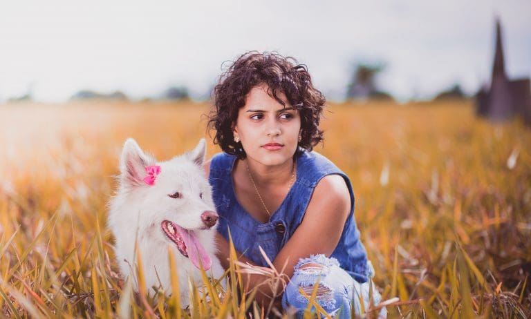 Quand a lieu la journée nationale du Golden Retriever ?