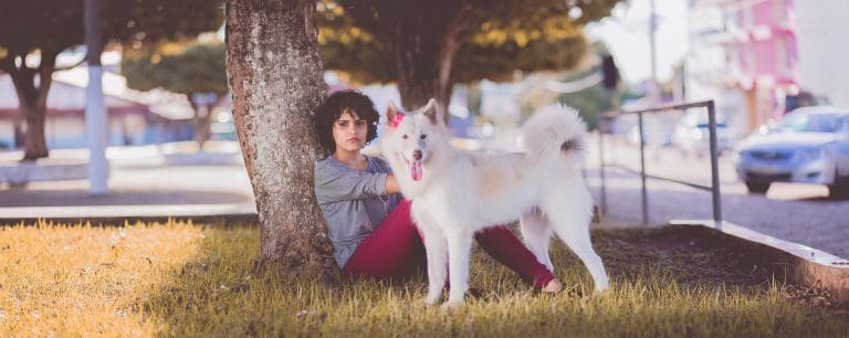 ¿Con qué frecuencia cortar las uñas del perro?