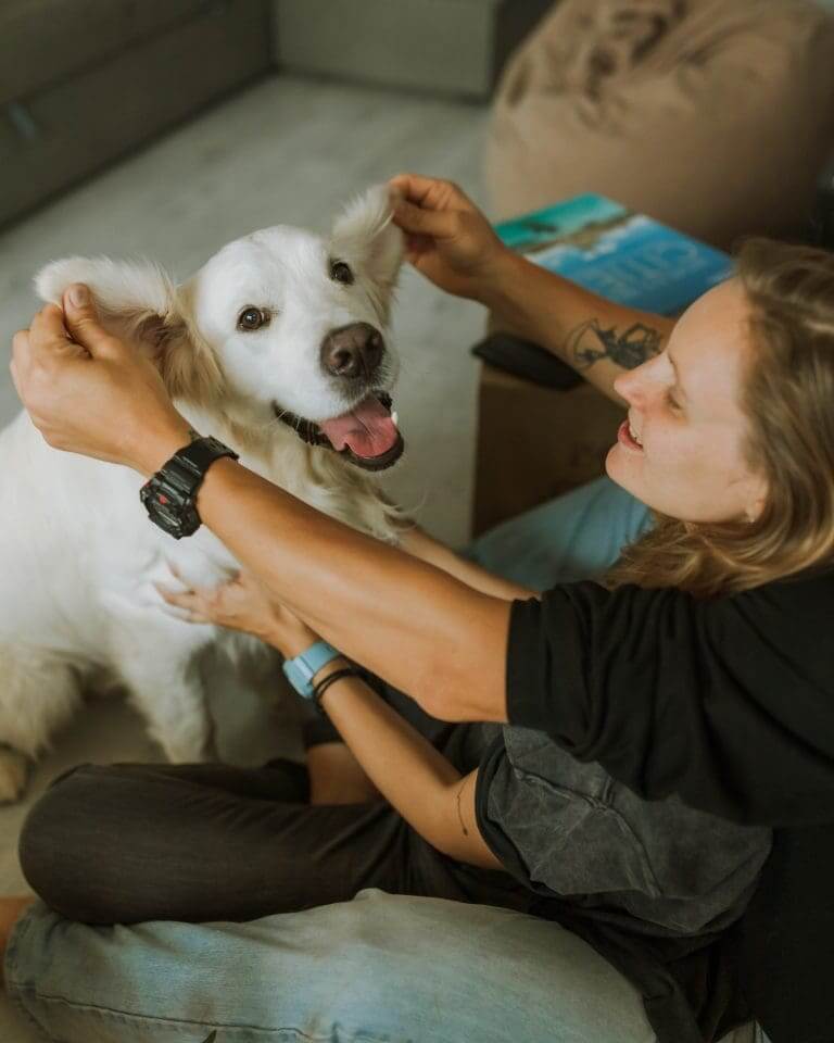 Comment déterminer l'âge d'un chien ?
