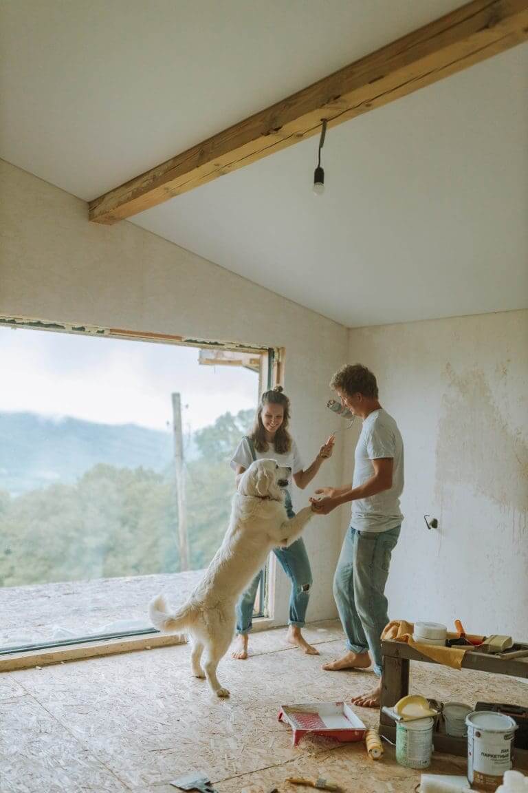Warum schütteln Hunde ihr Spielzeug?