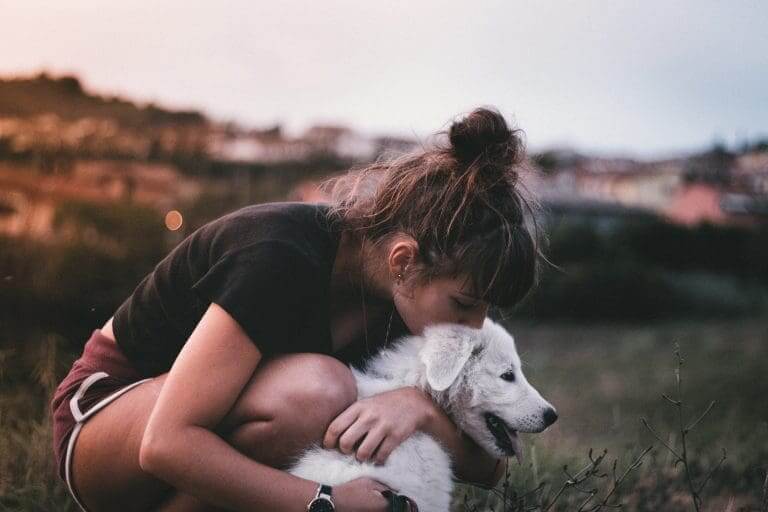 Combien de temps après avoir mangé du raisin un chien sera-t-il malade ?