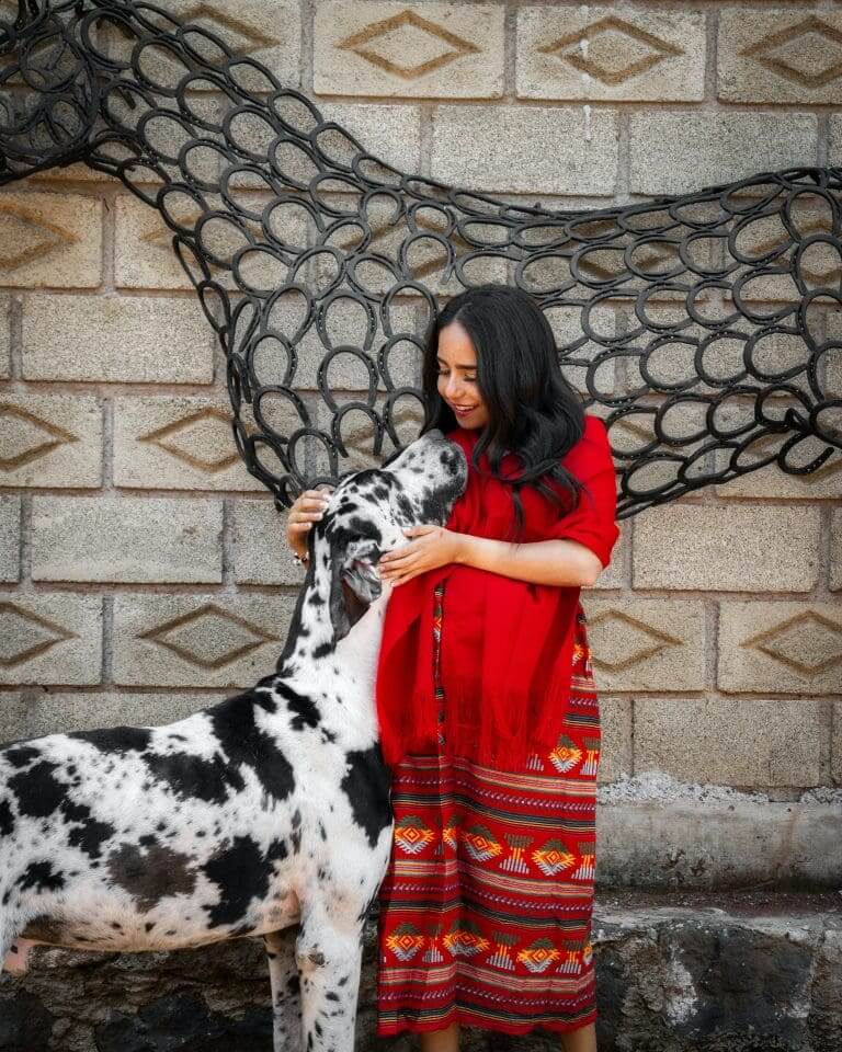 Why Dogs Are Haram?