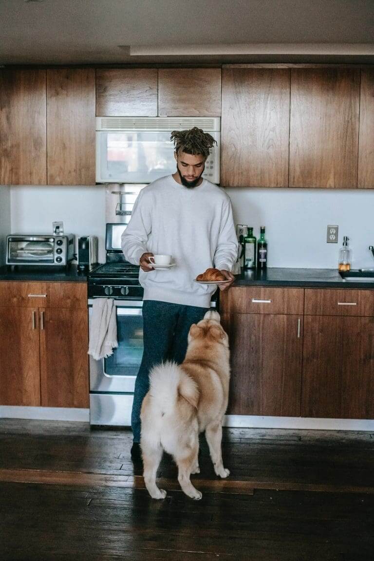 ¿Qué es un perro matón?