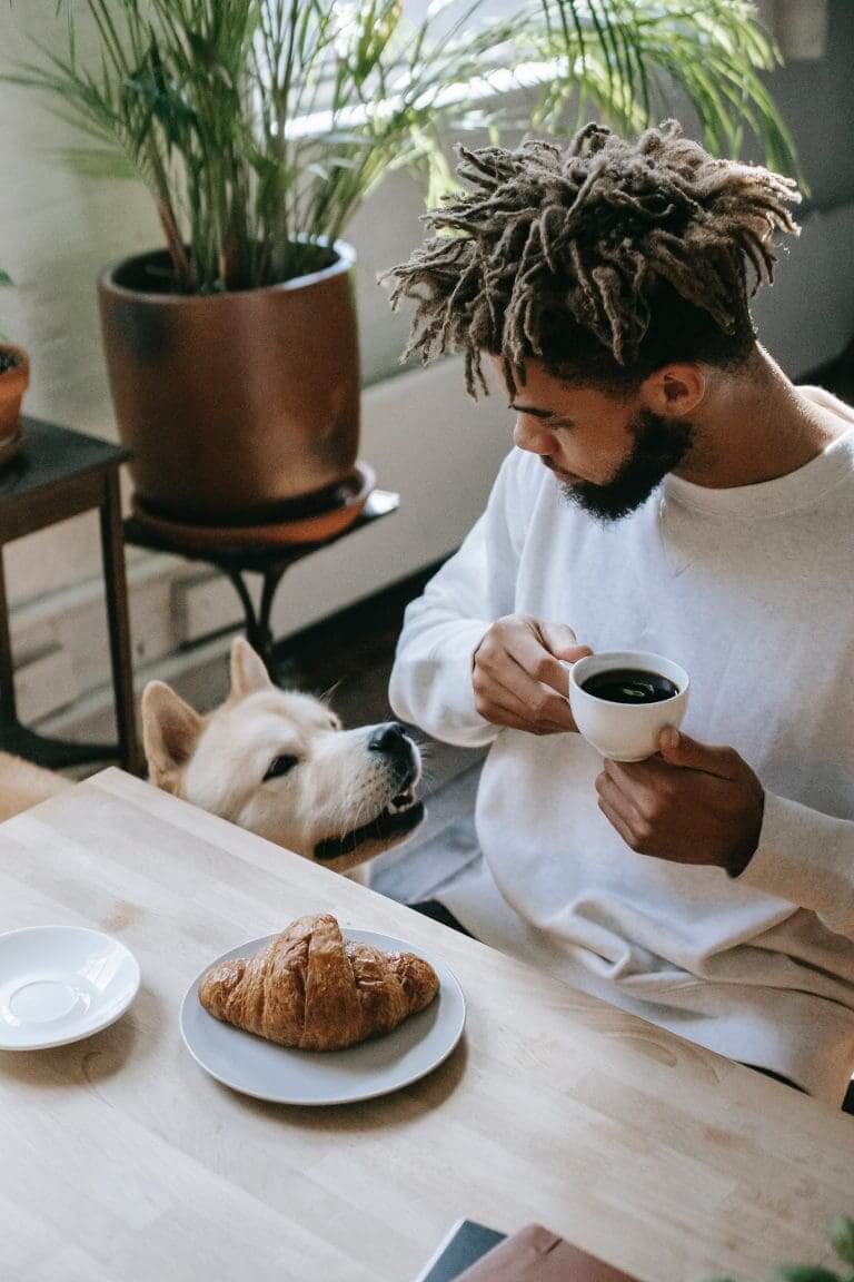 Quand les chiens sont-ils adultes ?