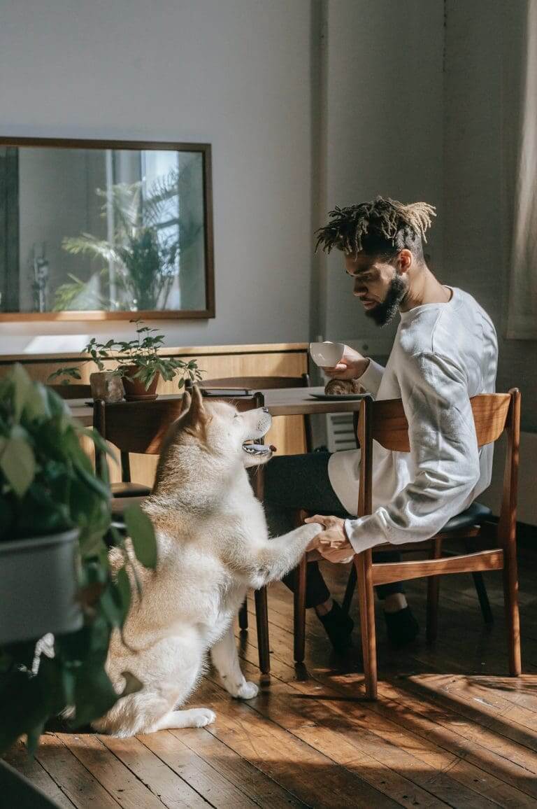 ¿Por qué mi perro tose después de beber agua?