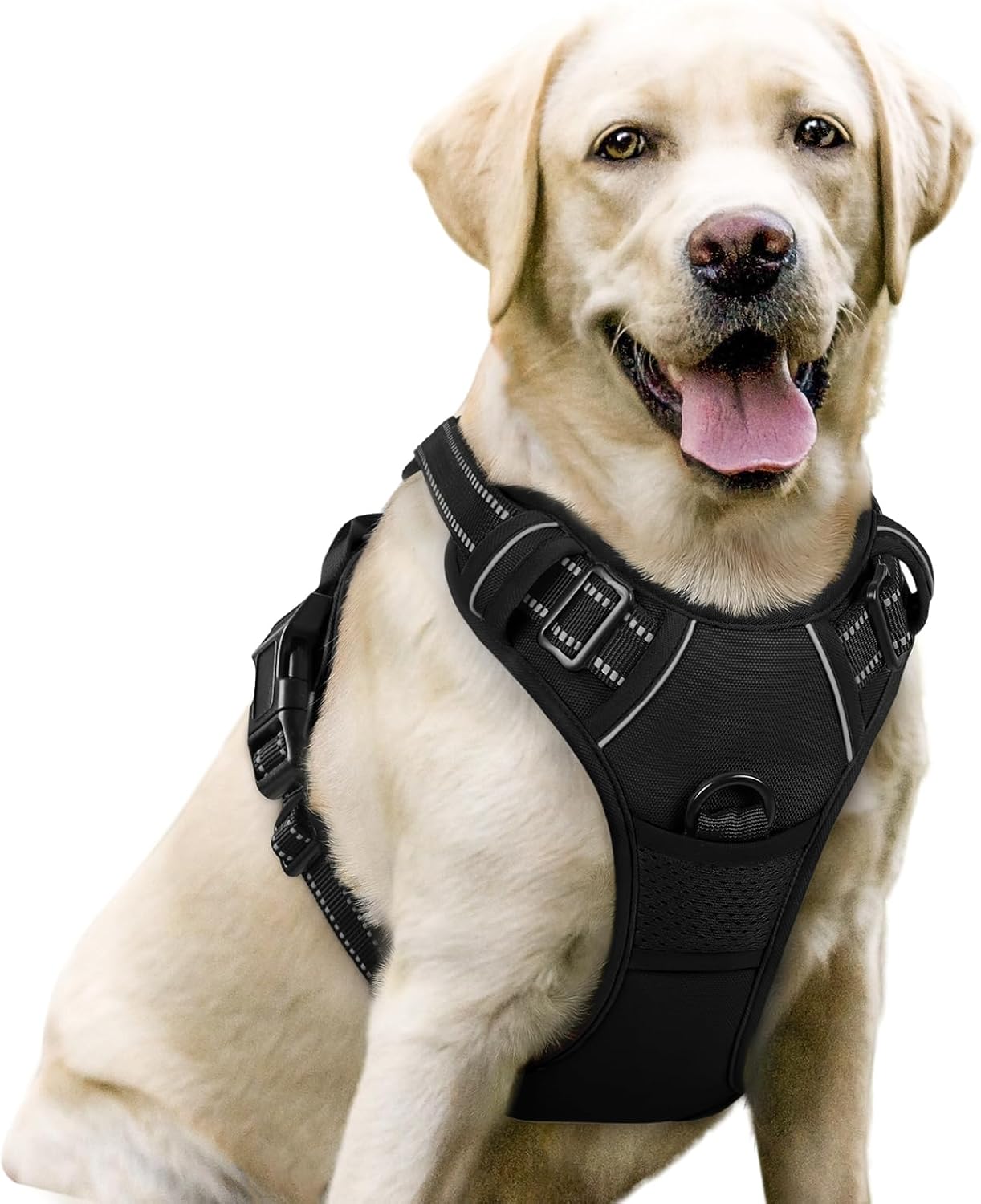 Rabbitgoo No-Pull Dog Harness, Reflective, Adjustable, Large, Black, with 2 Leash Clips