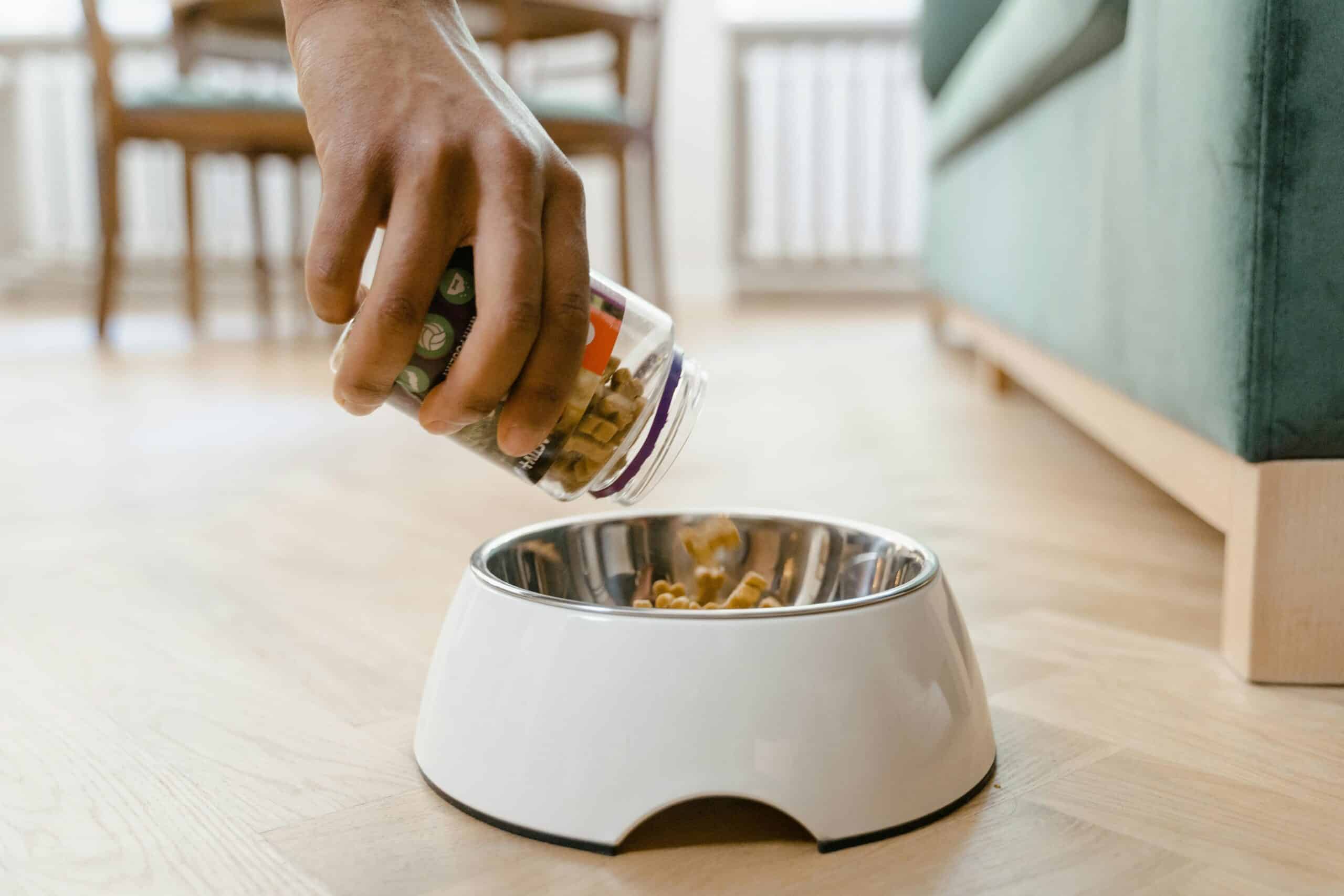 The Best Dog Food for Your Breed: A Tailored Nutrition Guide